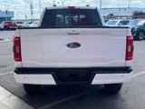 Used 2023 Ford F150 XLT w/ Equipment Group 302A High image 5