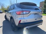 Used 2022 Ford Escape SEL image 4