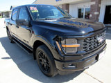 New 2025 Ford F150 STX w/ STX Black Appearance Package image 3