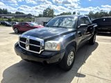 Used 2005 Dodge Dakota SLT w/ Sport Appearance Group image 3