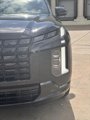 New 2025 Hyundai Palisade Calligraphy image 3