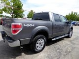 Used 2013 Ford F150 XLT w/ XLT Chrome Pkg image 5