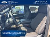 New 2025 Ford F150 STX image 2