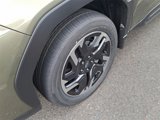 New 2025 Subaru Forester Limited image 4