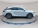 New 2025 Lexus RX 350 Premium Plus image 4