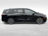 New 2025 Honda Odyssey Elite image 4