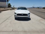Certified 2019 Ford Mustang Premium image 2