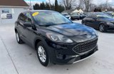 Used 2022 Ford Escape SE w/ Convenience Package image 3