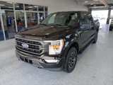 Certified 2023 Ford F150 XLT w/ Equipment Group 302A High image 4