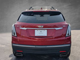 Used 2019 Cadillac XT5 Premium Luxury w/ Sport Package image 5