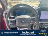 New 2025 Ford F150 XLT w/ Equipment Group 302A MID image 4