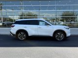 New 2025 INFINITI QX60 Luxe w/ Cargo Package image 2