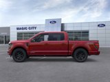 New 2025 Ford F150 XLT w/ Equipment Group 302A MID image 3