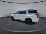 New 2025 Hyundai Palisade Calligraphy image 6