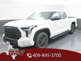 New 2025 Toyota Tundra SR5 image 5