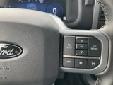 New 2025 Ford F150 XLT w/ Equipment Group 302A MID image 6