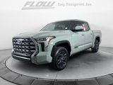 New 2025 Toyota Tundra Platinum image 3