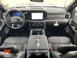 New 2025 Ford F250 Platinum image 3