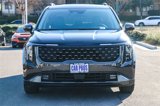 New 2025 Kia Carnival SX Prestige image 3