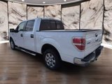 Used 2014 Ford F150 XLT w/ Equipment Group 302A Luxury image 4