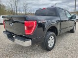 Used 2023 Ford F150 XLT image 5