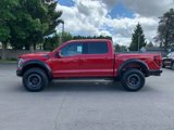 New 2025 Ford F150 Raptor image 2