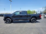 New 2025 Ford F250 4x4 Crew Cab Super Duty image 3