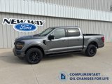 New 2025 Ford F150 XLT image 1