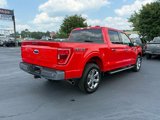 Certified 2023 Ford F150 XLT w/ Equipment Group 302A High image 4