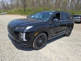 New 2025 Hyundai Palisade Calligraphy image 1