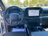 New 2025 Ford F150 STX w/ Equipment Group 200A image 2