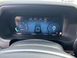 New 2025 Ford F150 XLT w/ Equipment Group 302A MID image 3