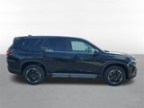 New 2025 Honda Pilot EX-L image 4