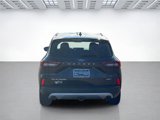 Certified 2024 Ford Escape Platinum w/ Premium Technology Package image 4