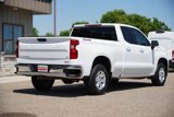 Used 2020 Chevrolet Silverado 1500 LT w/ All-Star Edition image 3
