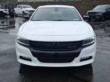 Used 2023 Dodge Charger SXT w/ Blacktop Package image 2