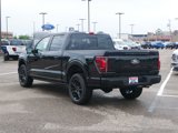 New 2025 Ford F150 Platinum image 2
