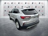 Used 2020 Ford Escape SE image 4