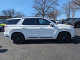 New 2025 Hyundai Palisade Calligraphy image 3