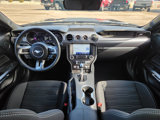 Used 2022 Ford Mustang Mach 1 image 3