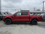 New 2025 Ford F150 XLT w/ Equipment Group 302A MID image 2