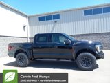 New 2025 Ford F150 Raptor image 2