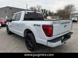 New 2025 Ford F150 Platinum image 5