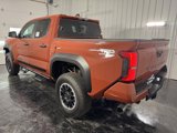 New 2025 Toyota Tacoma TRD Off-Road w/ TRD Off Road Upgrade Package image 3