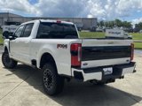 New 2025 Ford F250 Platinum image 5