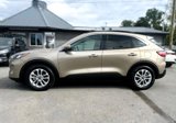 Used 2020 Ford Escape SE image 2