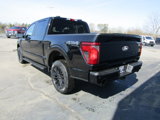 New 2025 Ford F150 XLT image 5