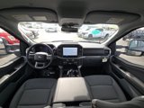 New 2025 Ford F150 XLT w/ Equipment Group 302A MID image 2