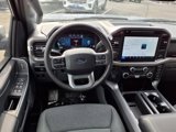 New 2025 Ford F150 XLT w/ Equipment Group 302A MID image 4