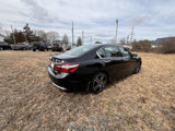 Used 2017 Honda Accord Sport Special Edition image 6